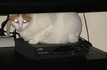 thunder on cable